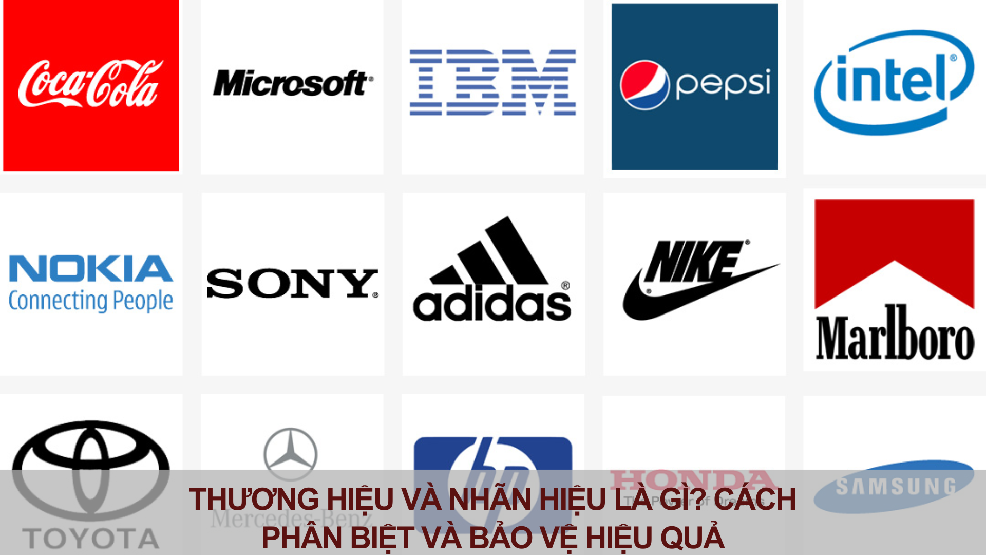 Thuong hieu va nhan hieu 5