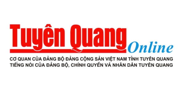 Bao tuyen quang