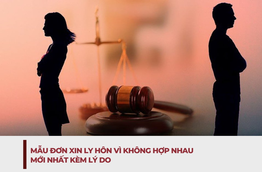 Mau don xin ly hon vi khong hop nhau 5