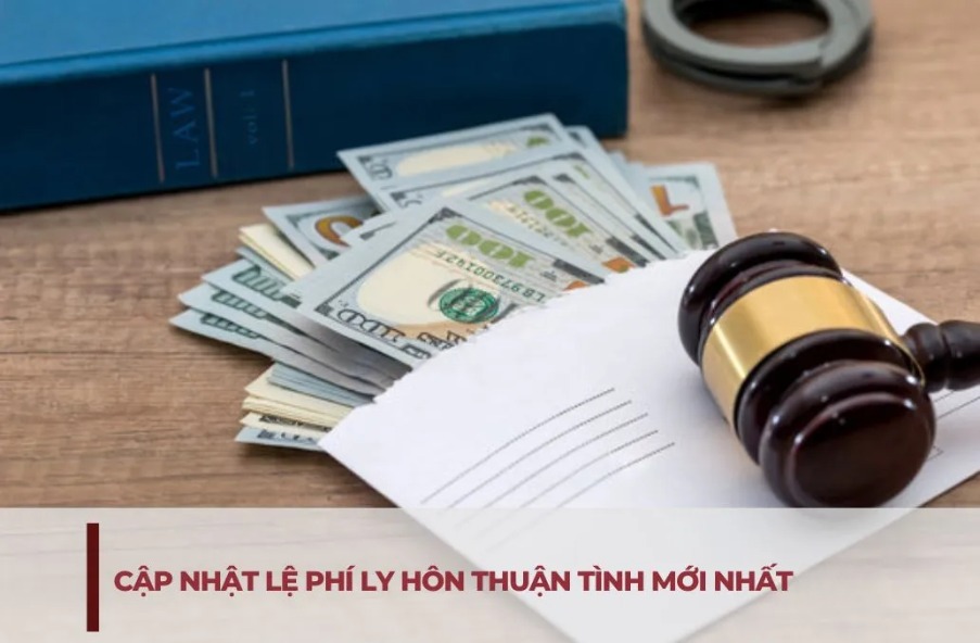 Chi phi ly hon thuan tinh